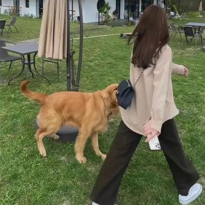 白专家